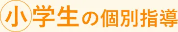 小学生の個別指導