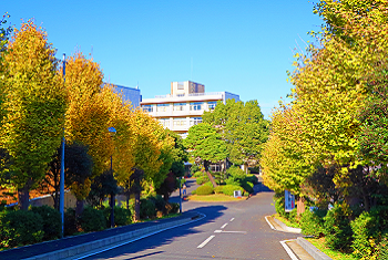 近隣高校紹介2024】 県立 松戸南高校に合格するための内申点、入試本番の点数と対策ポイント｜個別指導の塾 城南コベッツ北小金教室 |  北小金教室からのメッセージ | 個別指導塾・学習塾【城南コベッツ】