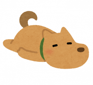 pet_darui_dog.png