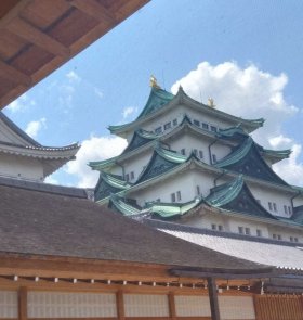 本丸御殿から見える名古屋城.jpg