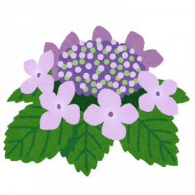 flower_gaku_ajisai.png